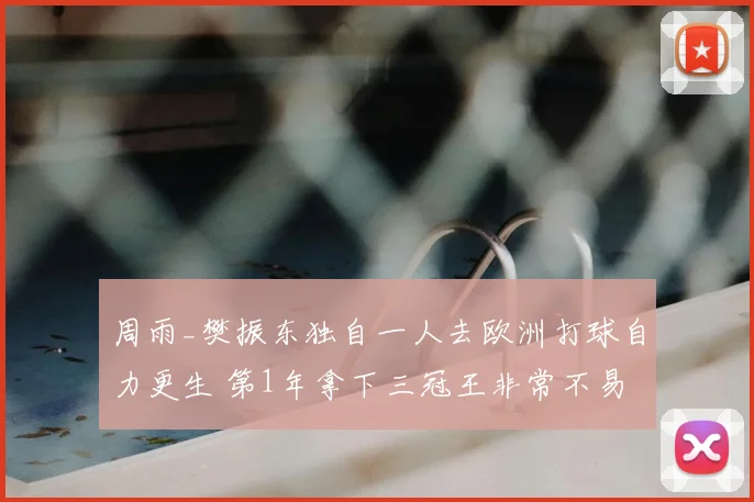 周雨_樊振东独自一人去欧洲打球自力更生 第1年拿下三冠王非常不易