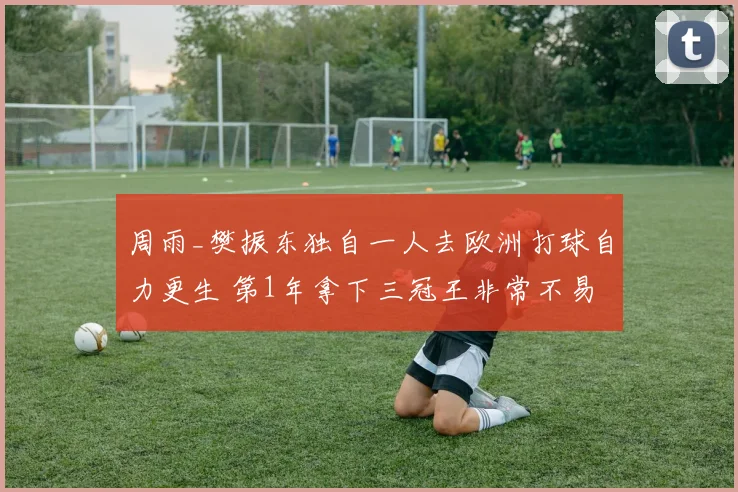 周雨_樊振东独自一人去欧洲打球自力更生 第1年拿下三冠王非常不易