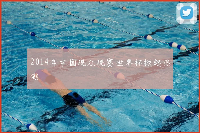 2014年中国观众观赛世界杯掀起热潮