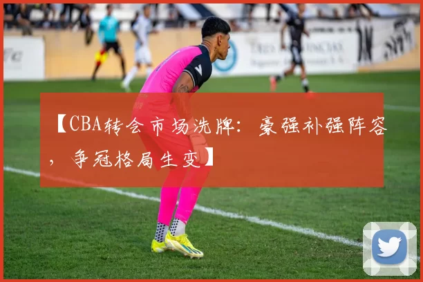 【CBA转会市场洗牌：豪强补强阵容，争冠格局生变】