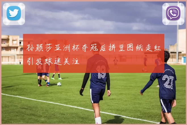 孙颖莎亚洲杯夺冠后拼豆图纸走红引发球迷关注