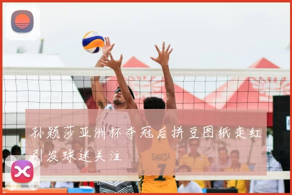 孙颖莎亚洲杯夺冠后拼豆图纸走红引发球迷关注