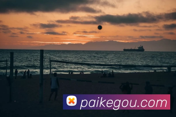 米兰app入口平台生态图