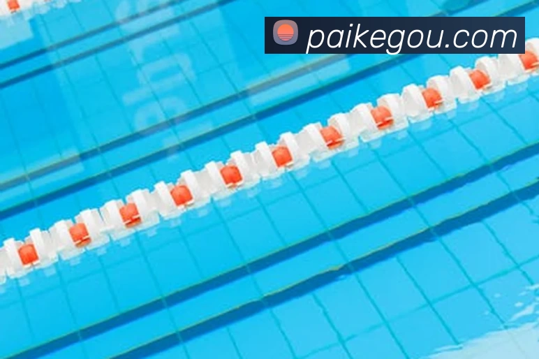 米兰app入口全站App